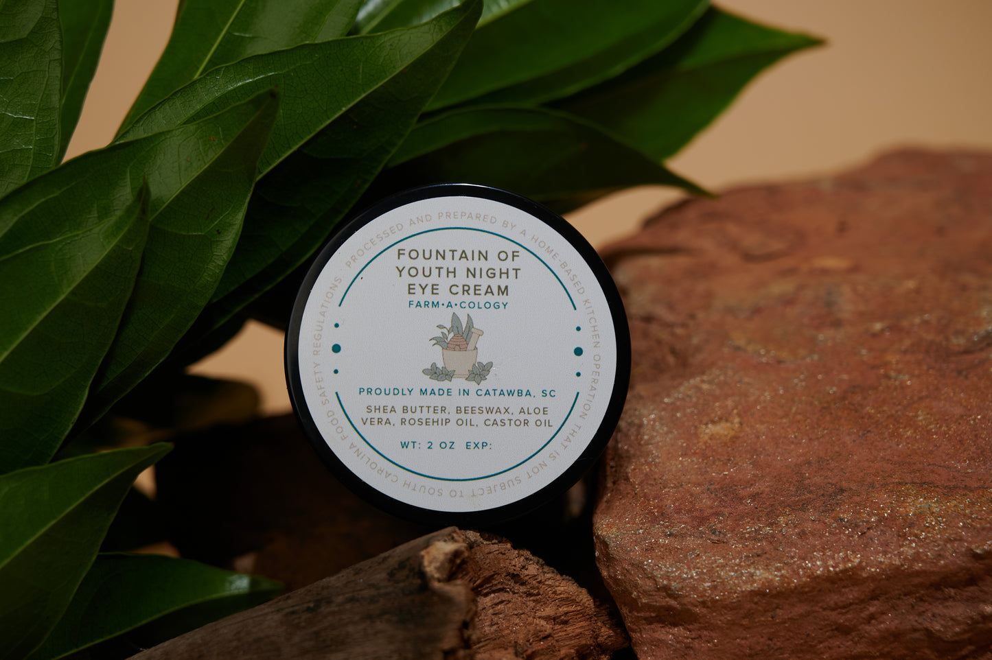 Fountain of Youth Night Eye Cream