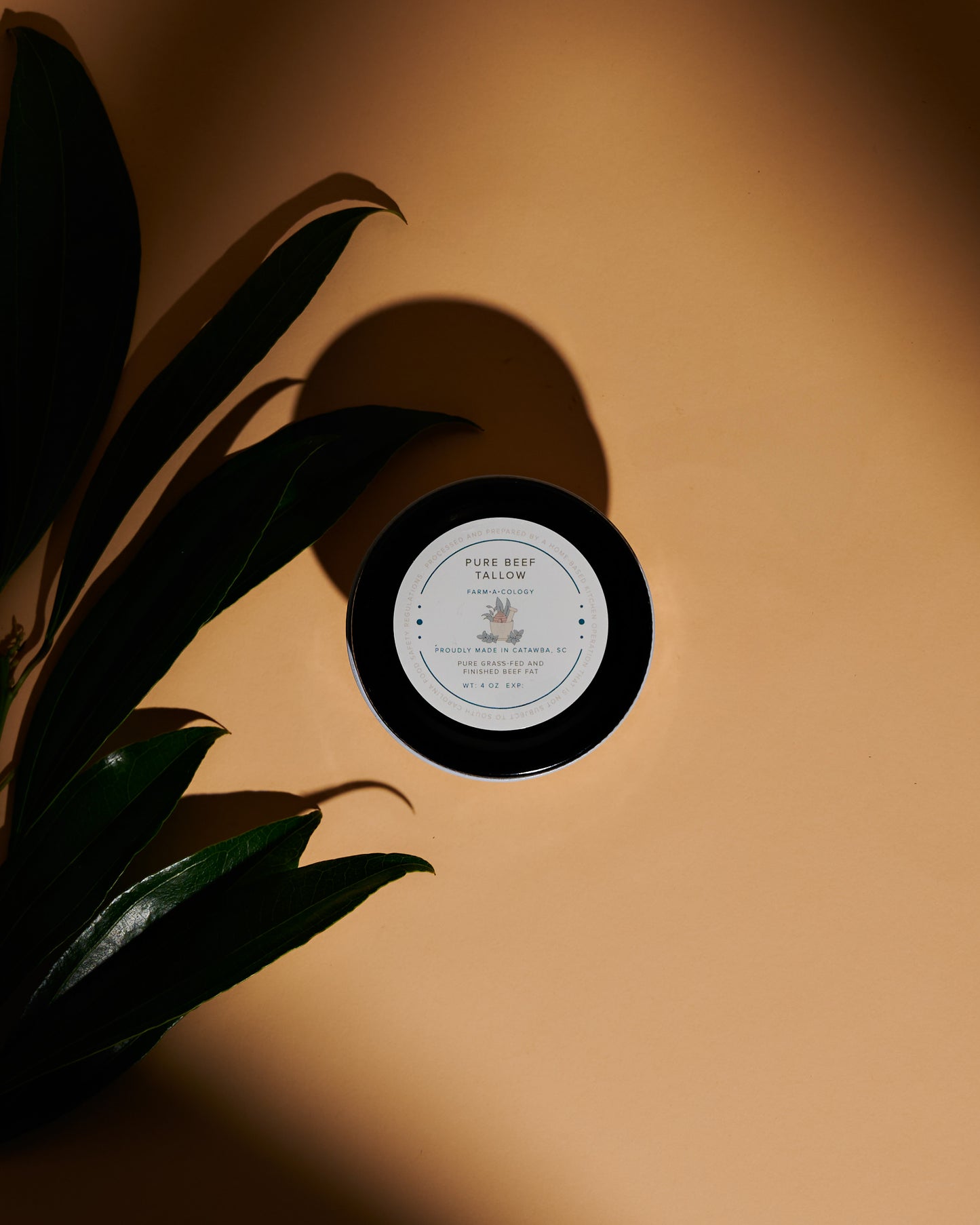 Pure Beef Tallow • grass-fed & finished