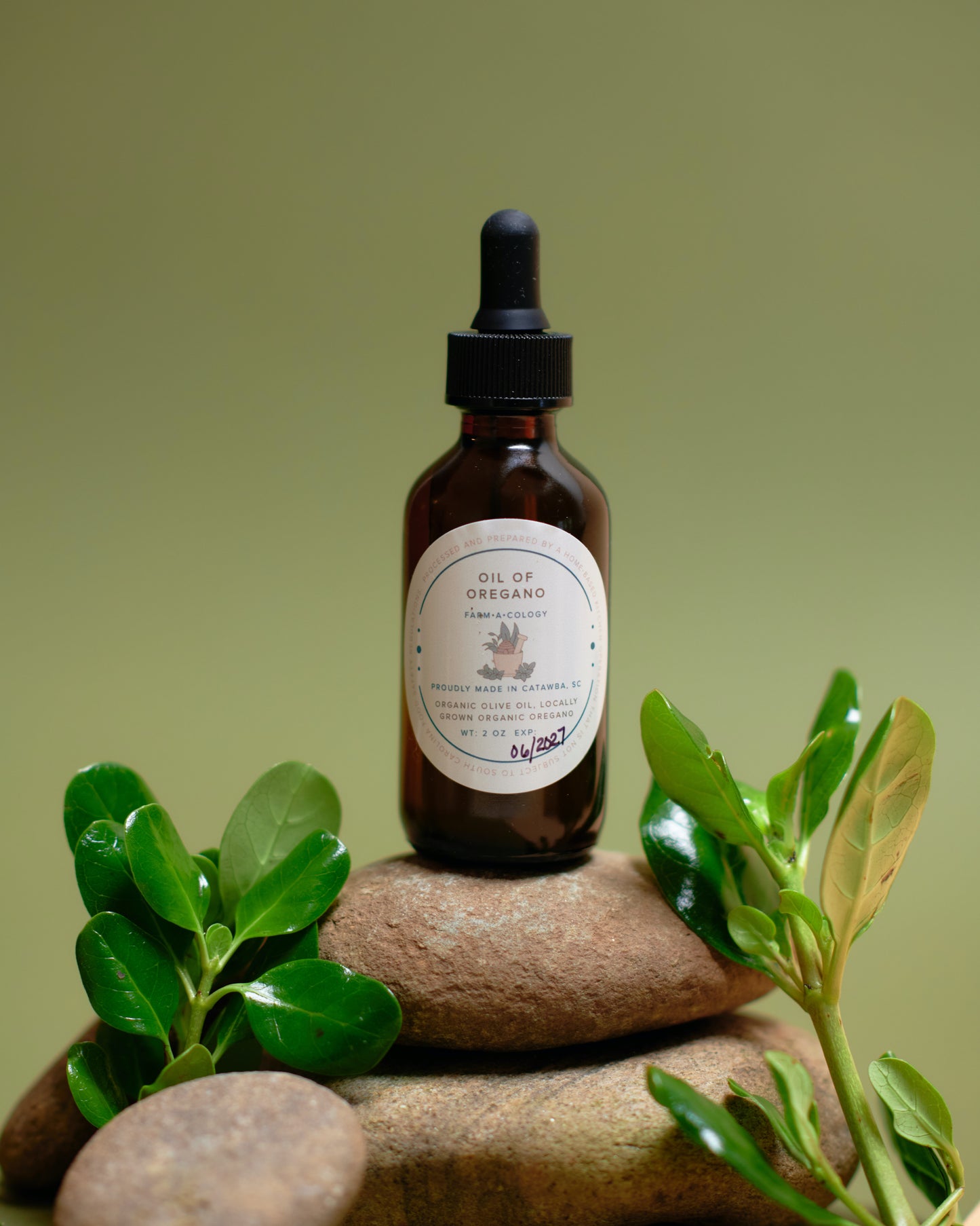 Oil of Oregano