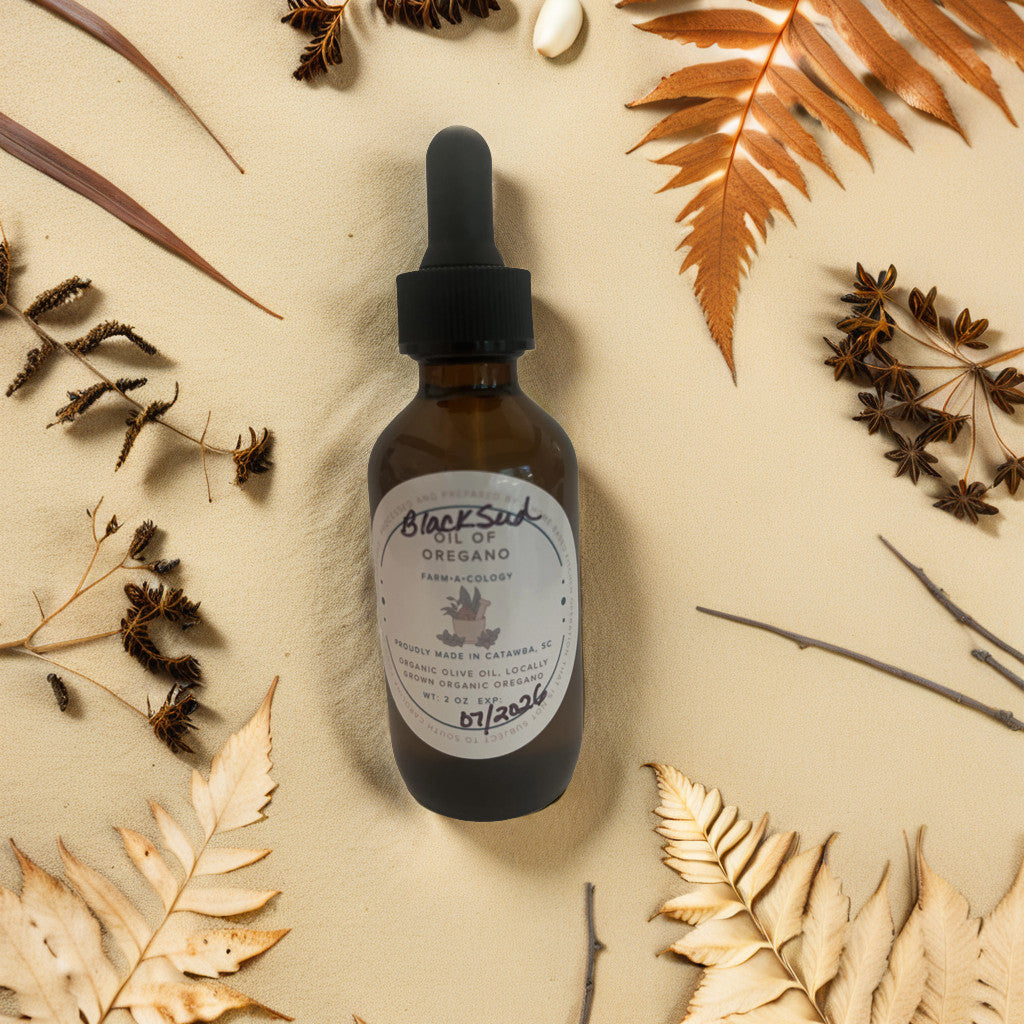 Black Seed Oil of Oregano: The Natural Remedy You Didn’t Know You Needed