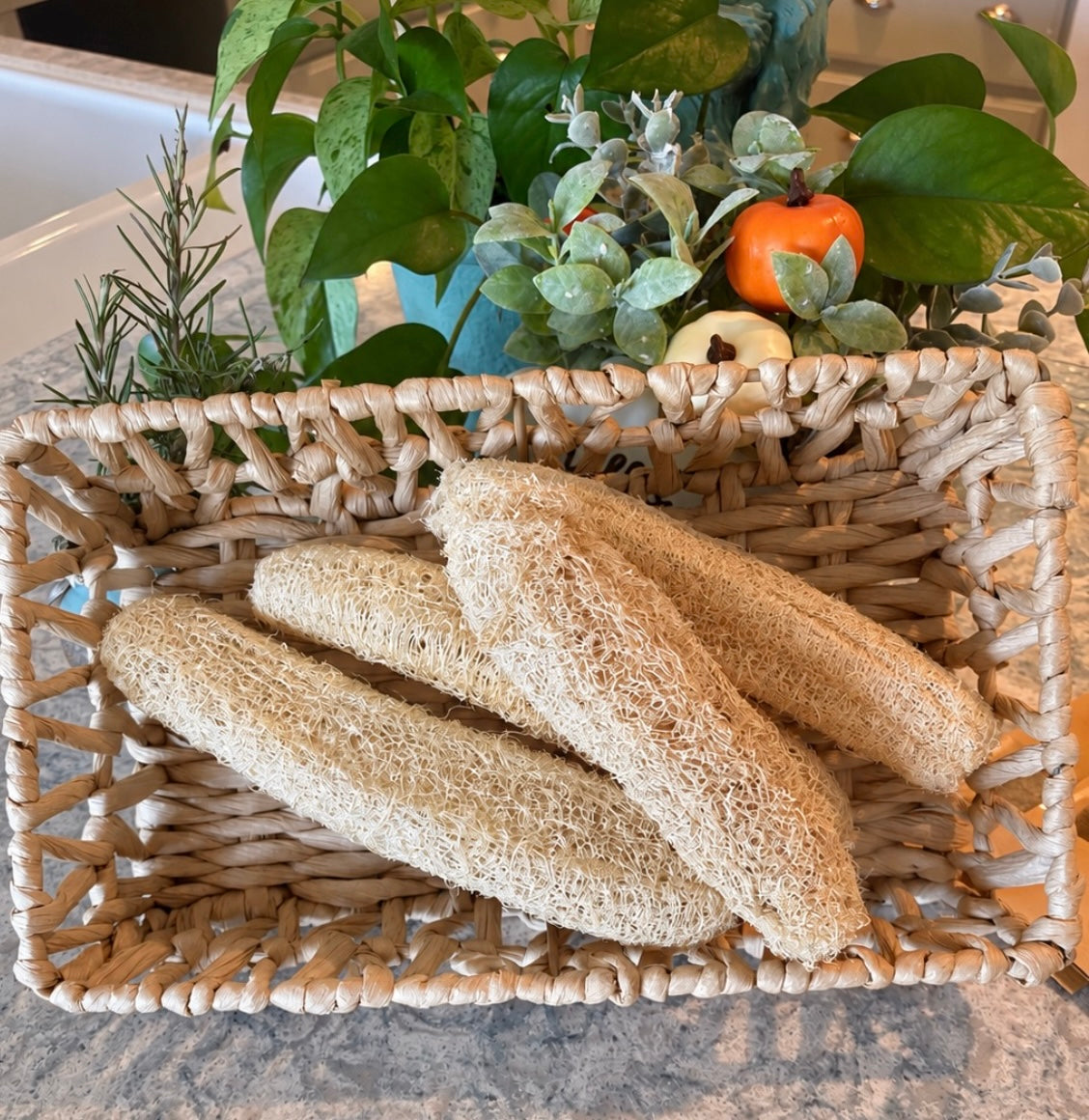Home-grown Loofah