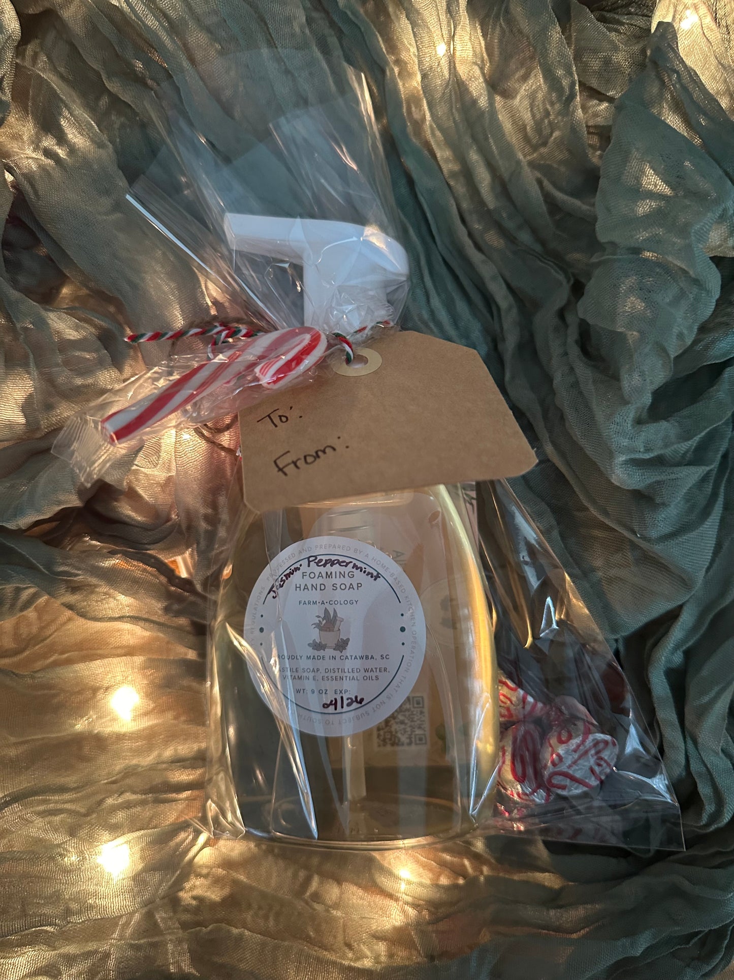Holiday Hand Soap Gift