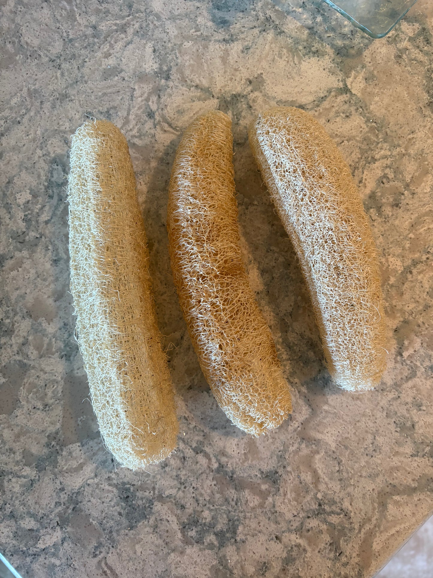 Home-grown Loofah