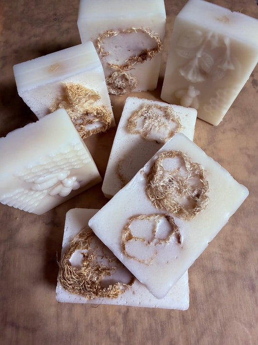 Loofah Goat Milk and Honey Soap