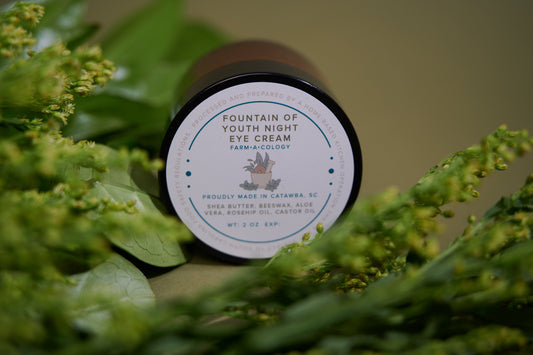 Fountain of Youth Night Eye Cream