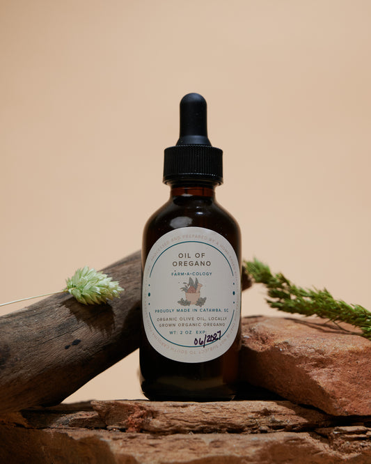 Oil of Oregano